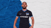 Bundesliga Berlin GIF by Hertha BSC