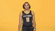 Division Ii Sport GIF by Cal State LA Golden Eagles