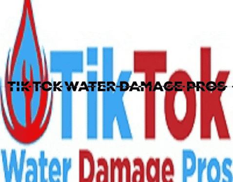 tiktokwaterdamagepros giphygifmaker water damage repair water damage cleanup water damage restoration washington dc GIF