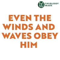 Faith Over Fear Peace Be Still GIF by Theology Made