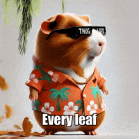 Peace Wisdom GIF by Guinea Gambino