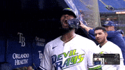 Yelling Tampa Bay Rays GIF by MLB