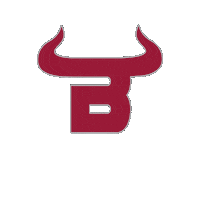 BaldwinSchoolPR bullspride baldwinschoolofpr baldwinbulls Sticker