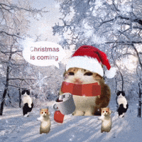 Christmas Time GIF