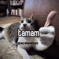 Erdwmncc GIF