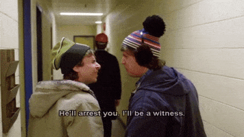 strange brew bob and doug  mackenzie GIF by Warner Archive