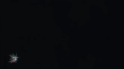 Stop No GIF