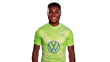 Soccer Sticker Sticker by VfL Wolfsburg