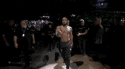 Mixed Martial Arts Sport GIF by UFC