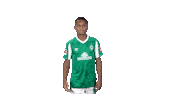 Bundesliga Felix Sticker by SV Werder Bremen