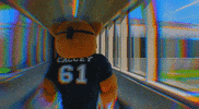Mascot Masks GIF by Assiniboine