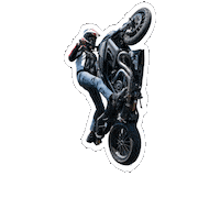 DucatiMotor bike race moto motogp Sticker