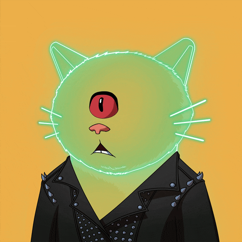 Happy Cat GIF by Kitaro World