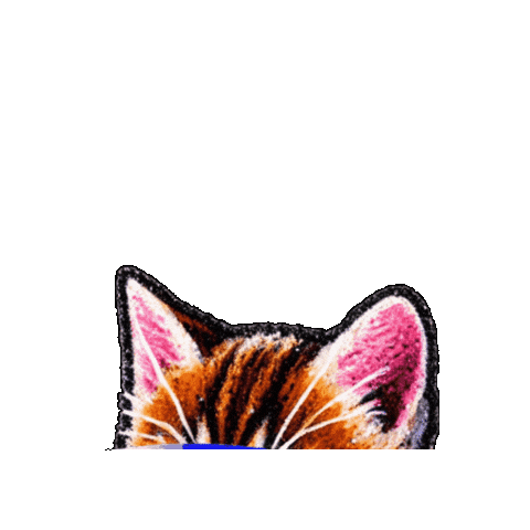 DCKAT giphygifmaker Sticker