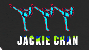tiÃ«sto jackie chan GIF by Tiësto
