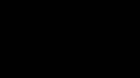 spiritofsports GIF by LAOLA1