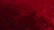 Hockey Ahl GIF by Iowa Wild