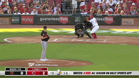 estee42 giphyupload GIF