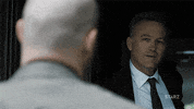 tv show no GIF by The Girlfriend Experience
