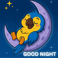 Tired Good Night GIF by Feraz NFT