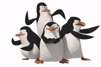 Penguins Of Madagascar GIF