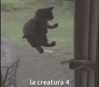 Weird Cat La Creatura GIF
