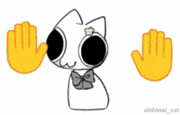 Dance Cat GIF