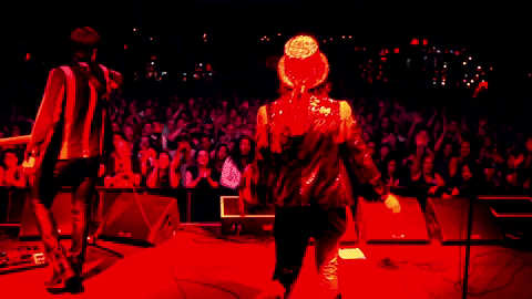 primadonna like me GIF by thestruts