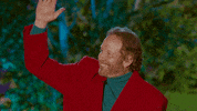 Steve Guttenberg Wave GIF by ABC Network