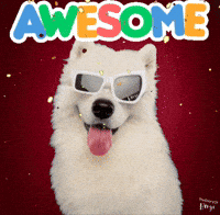 Dog Motivation GIF