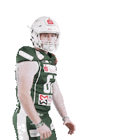 Football Nfl Sticker by Schwäbisch Hall Unicorns