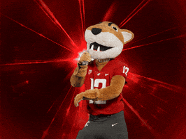 Washington State Go Cougs GIF by WSU Pullman