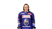 Hokej Frye Sticker by Rytíři Kladno