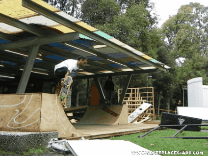 skate tamayo GIF