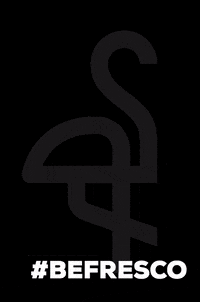 FrescoMarketing marketing kc fresco kansascity GIF