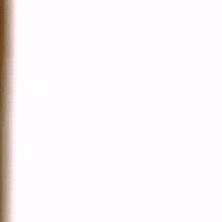 VoltzBrasil moto fake stamp mito GIF