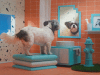 Not Afraid to Love...