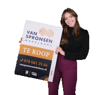 VanSpronsenMakelaars van spronsen makelaar van spronsen makelaar hendrik ido ambacht Sticker