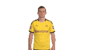 Borussia Dortmund What Sticker by Bundesliga