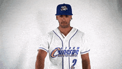 Baseball GIF by Omaha Storm Chasers