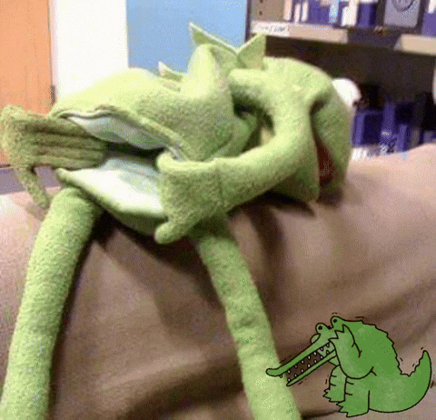 eddmoreira giphyattribution GIF