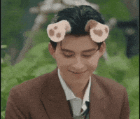 Dog Ears Ar Effect GIF