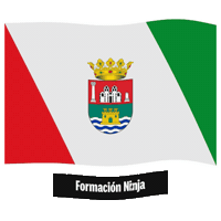 Comunidad Valenciana Valencia Sticker by Formación Ninja