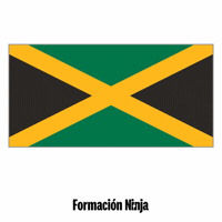 Flag Bandera GIF by Formación Ninja