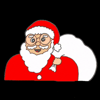 hayashiraisu christmas xmas santa クリスマス GIF