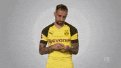 borussia dortmund football GIF by Bundesliga