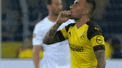 football soccer GIF by Borussia Dortmund