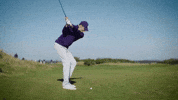 St Andrews Golf GIF by Northwestern Athletics