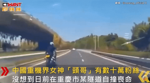 yj_jane giphyupload GIF