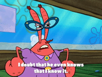 season 4 enemy in-law GIF by SpongeBob SquarePants